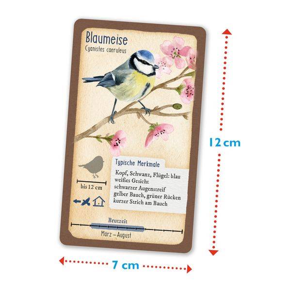 Tour durch die Natur - 50 heimische Singvögel