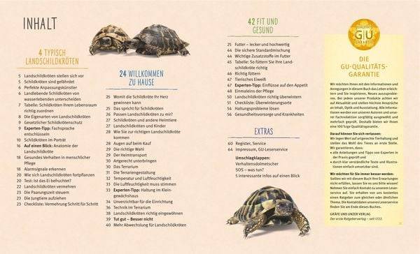 Landschildkröten