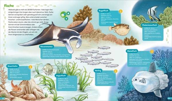 BOOKii® Hören und Staunen Im Meer und an der Küste