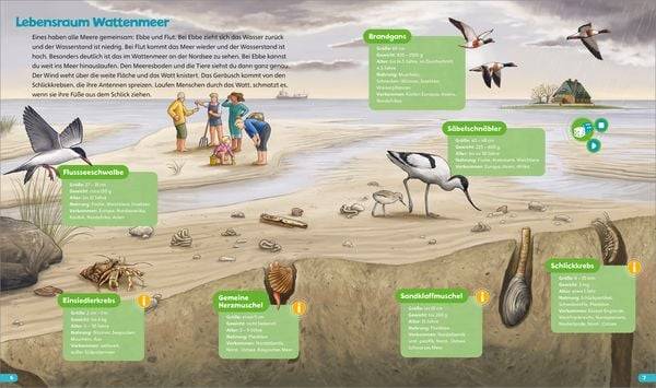 BOOKii® Hören und Staunen Im Meer und an der Küste