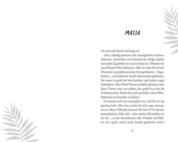 BERANI - Malias mutige Mission