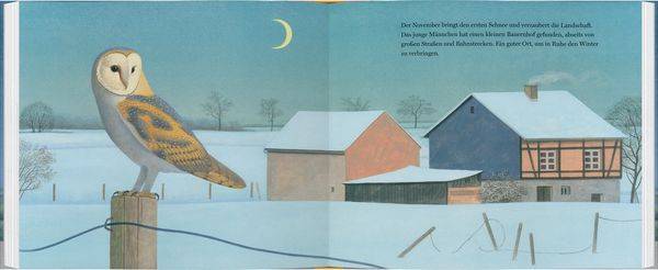 Ein Jahr mit den Eulen