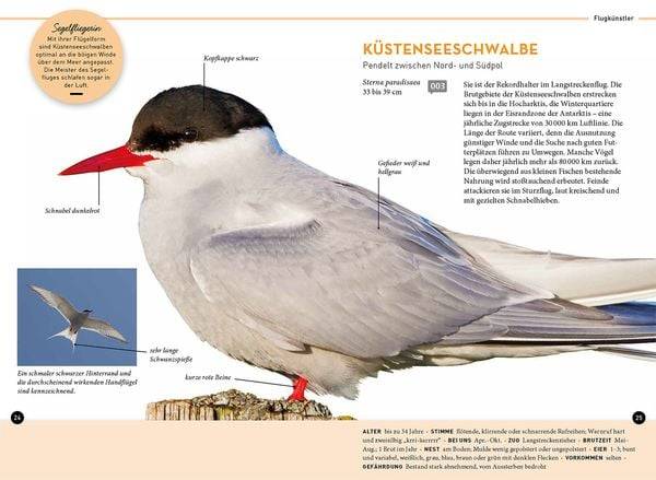 Lieblingsvögel