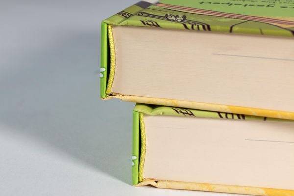 Heartstopper Volume 3 (deutsche Hardcover-Ausgabe)