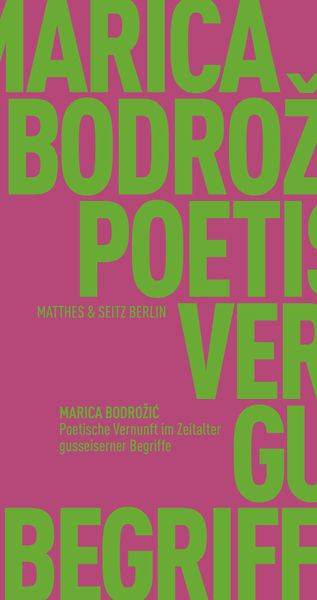Poetische Vernunft im Zeitalter gusseiserner Begriffe