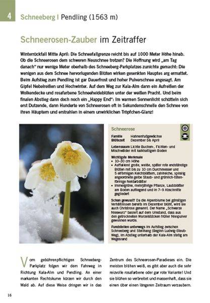 Die schönsten Blüten-Wanderungen in Oberbayern & Tirol, Band 2