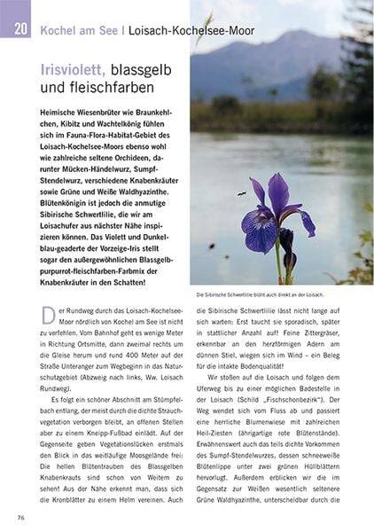 Die schönsten Blüten-Wanderungen in Oberbayern & Tirol, Band 2