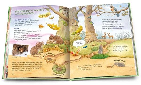 Geh hinaus und entdecke. Tiere und Pflanzen beim Waldspaziergang