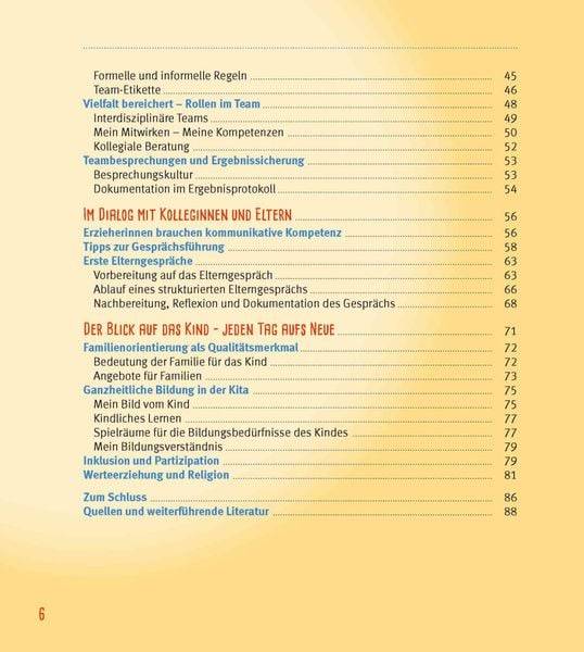 Das Berufseinsteiger-Buch für ErzieherInnen