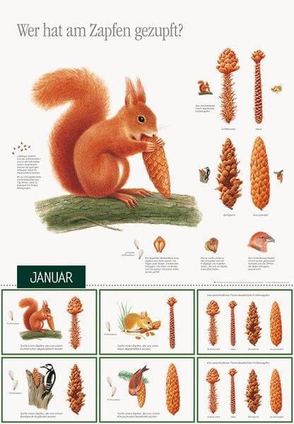 Natur erleben durch das Jahr - 1