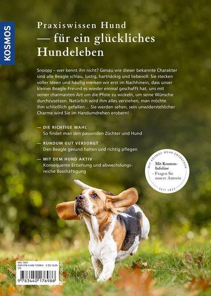 Beagle
