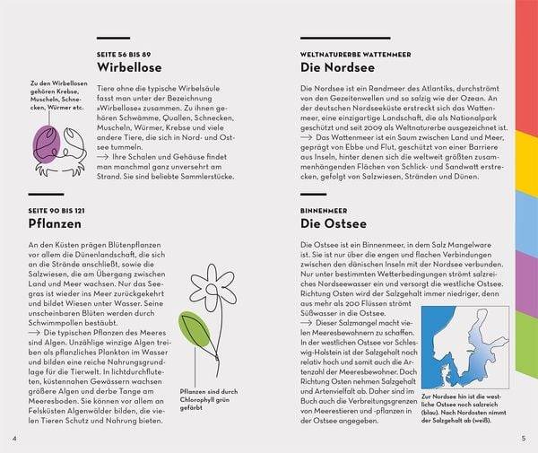 Basic Strand und Küste