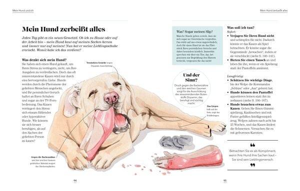 Das denkt dein Hund