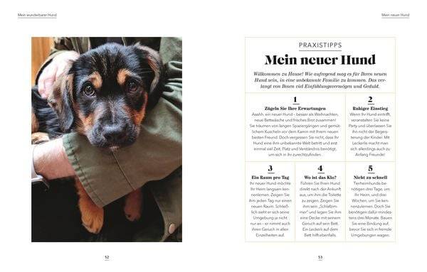 Das denkt dein Hund