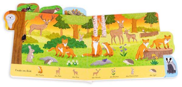 Suchbuch für kleine Entdecker. Tiere im Wald