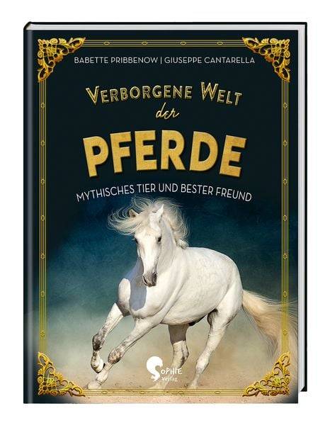 Verborgene Welt der Pferde