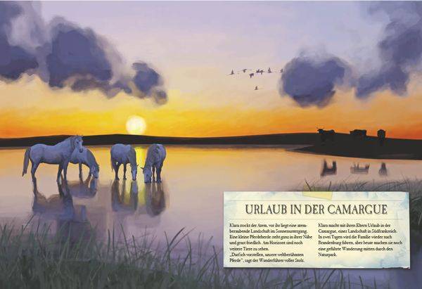 Verborgene Welt der Pferde