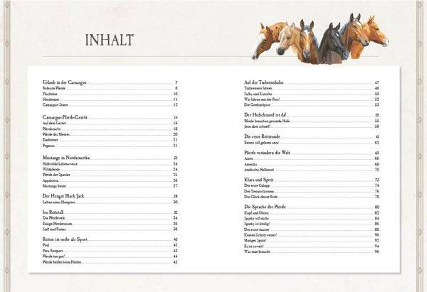 Verborgene Welt der Pferde