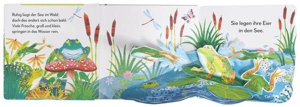 Mein Pop-up-Buch zum Staunen. Wo kommst du her, kleiner Frosch?