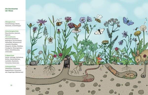 Meine Wiese. - Entdecke eine wunderbare Welt