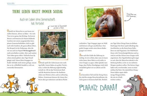 Wie Tiere denken und fühlen