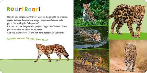 Hör mal rein, wer kann das sein? – Im Dschungel
