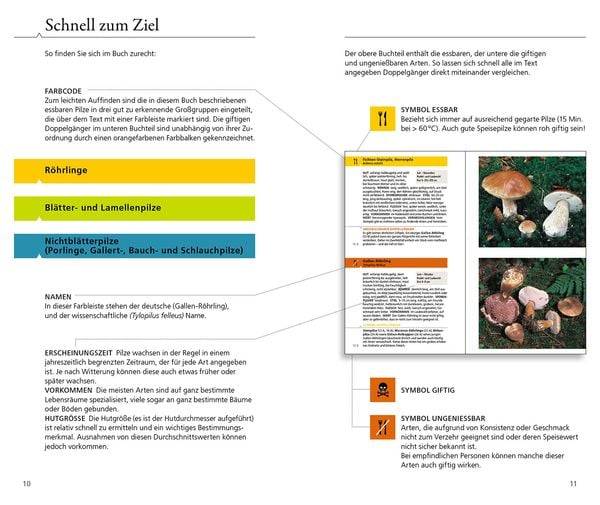 Essbare Pilze und ihre giftigen Doppelgänger