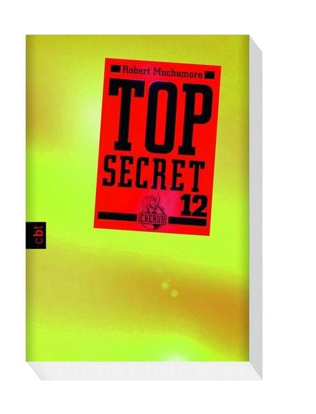 Top Secret 12. Die Entscheidung