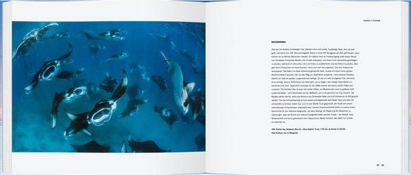 Die erstaunliche Welt der Tiere