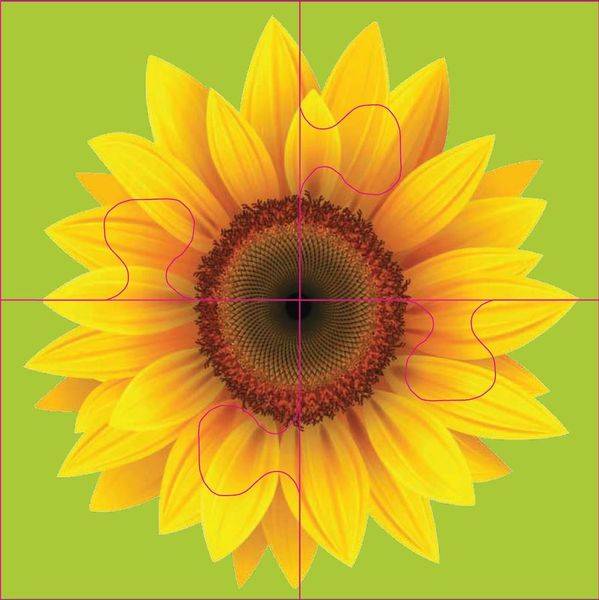 Das "Gelingt-immer"-Puzzle Blumen. Das Puzzle-Spiel für Senioren mit Demenz