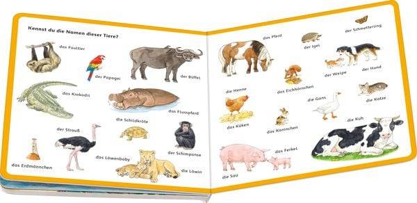 Mein Bilder-Wörterbuch: Unsere Tiere