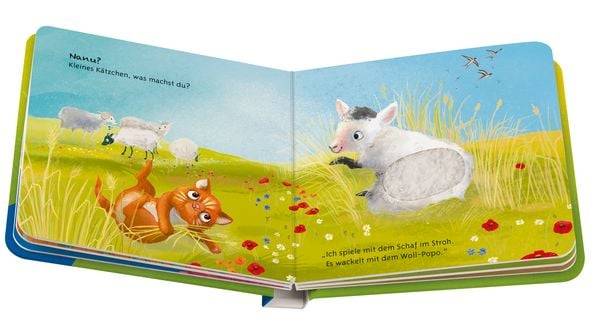 Mein liebstes Vorlese-Fühlbuch: Die kleine Katze