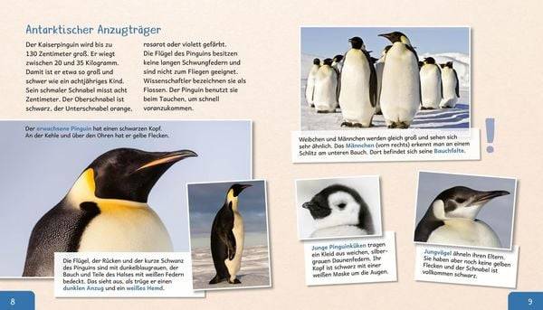 Meine große Tierbibliothek: Der Pinguin