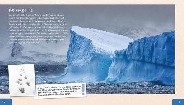 Meine große Tierbibliothek: Der Pinguin