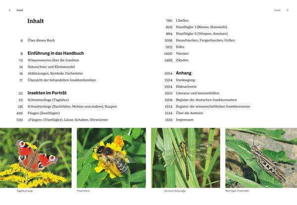 Das große BLV Handbuch Insekten