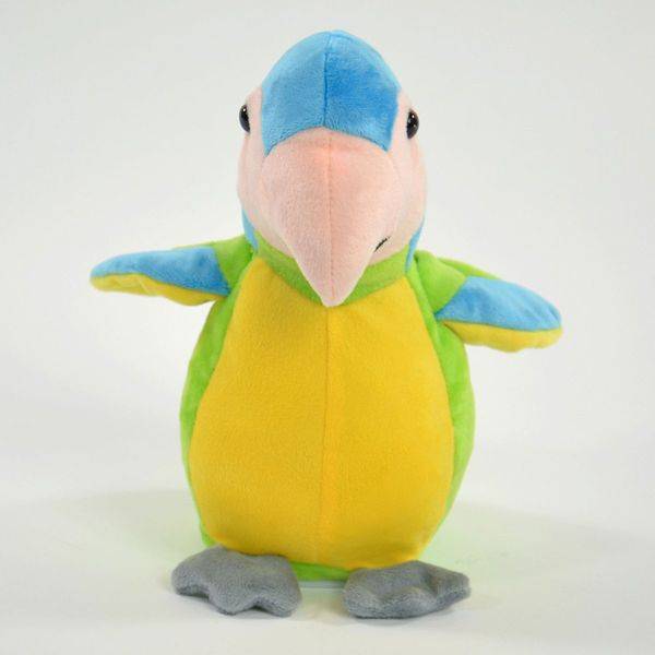 Laber-Papagei, grün