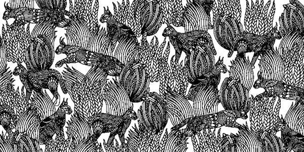 Millie Marotta's Wundervolles Tierreich – Die schönsten Ausmal-Abenteuer