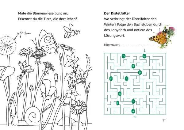 Lesen lernen mit Naturrätseln, Bücherhelden 2. Klasse, Insekten & Spinnen
