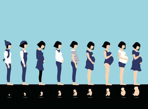 Ein neues Leben entsteht