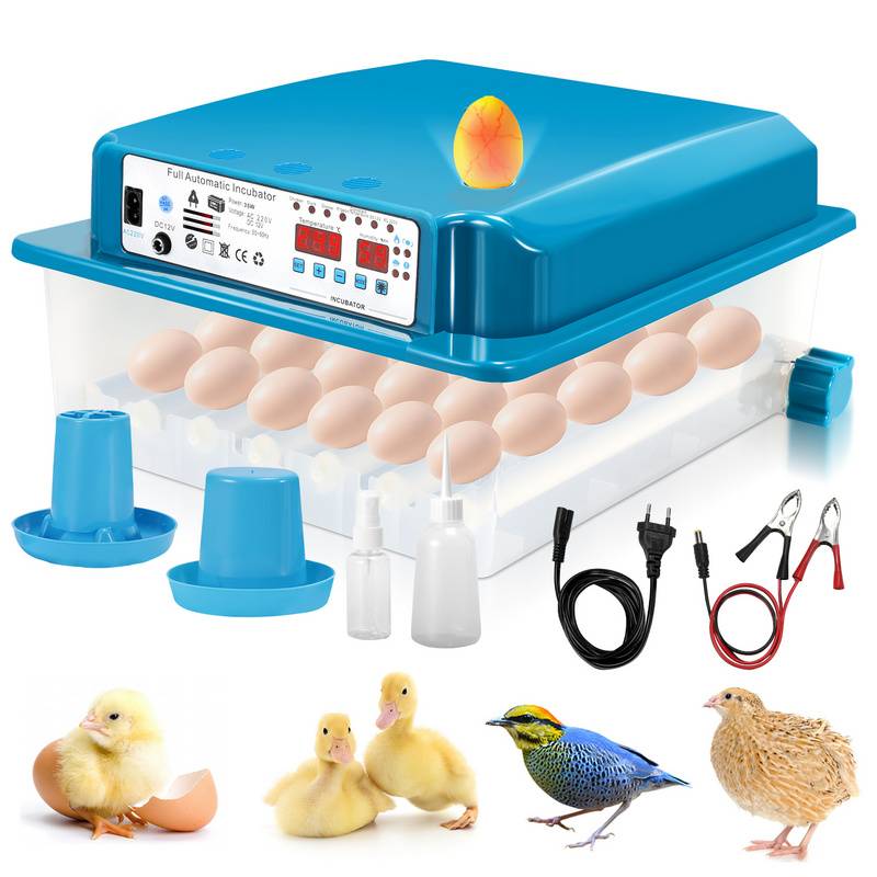 Brutmaschine Ei-Inkubator Brüter mit LCD-Anzeige Reptilieninkubator Inkubator Brüter Digital Flächenbrüter Mit LED-Eierlicht 36 Eier Grün