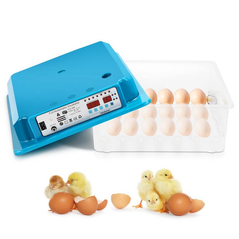 Brutmaschine Brutgerät Mit LED-Eierlicht Wendesystem+Temperatursteuerung Reptilieninkubator Inkubator 35-36w 36 Eier Grün