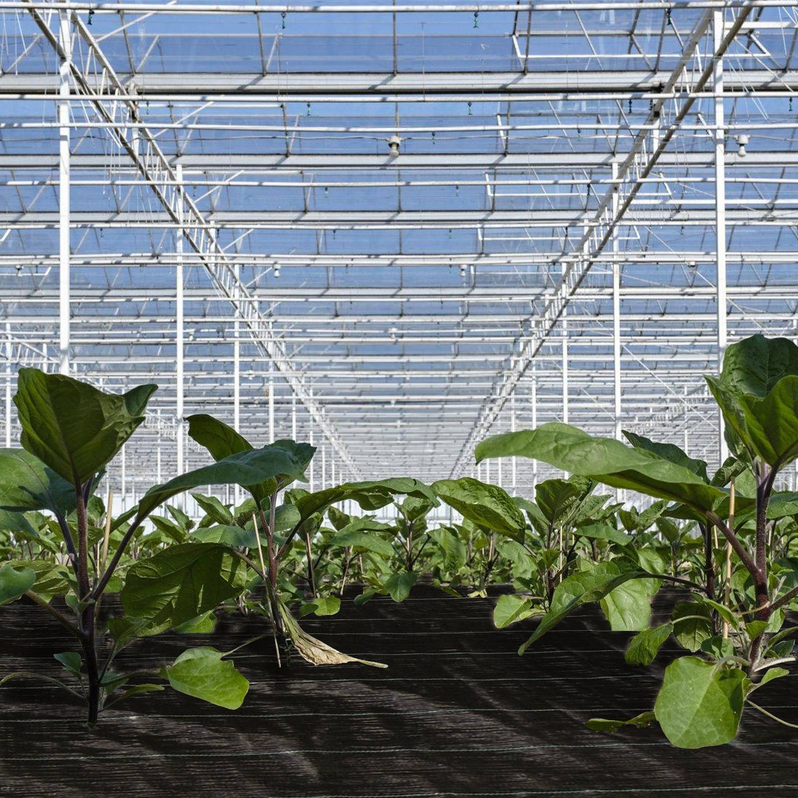 10m² Unkrautvlies Gartenvlies, 1x10m, 90g/m², Wasserdurchlässig Reißfest Unkraut Schutz Garten, Bodengewebe Mulchvlies