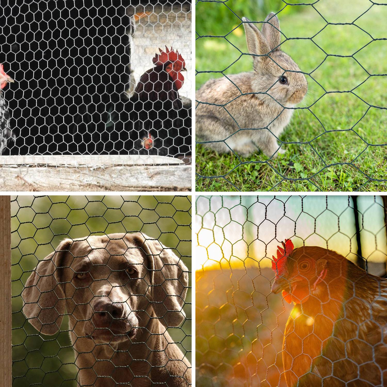 Drahtzaun Sechskantgeflecht 10m/25m Maschendrahtzaun 27mm aus verzinktem Stahl Grün 1m x 10m