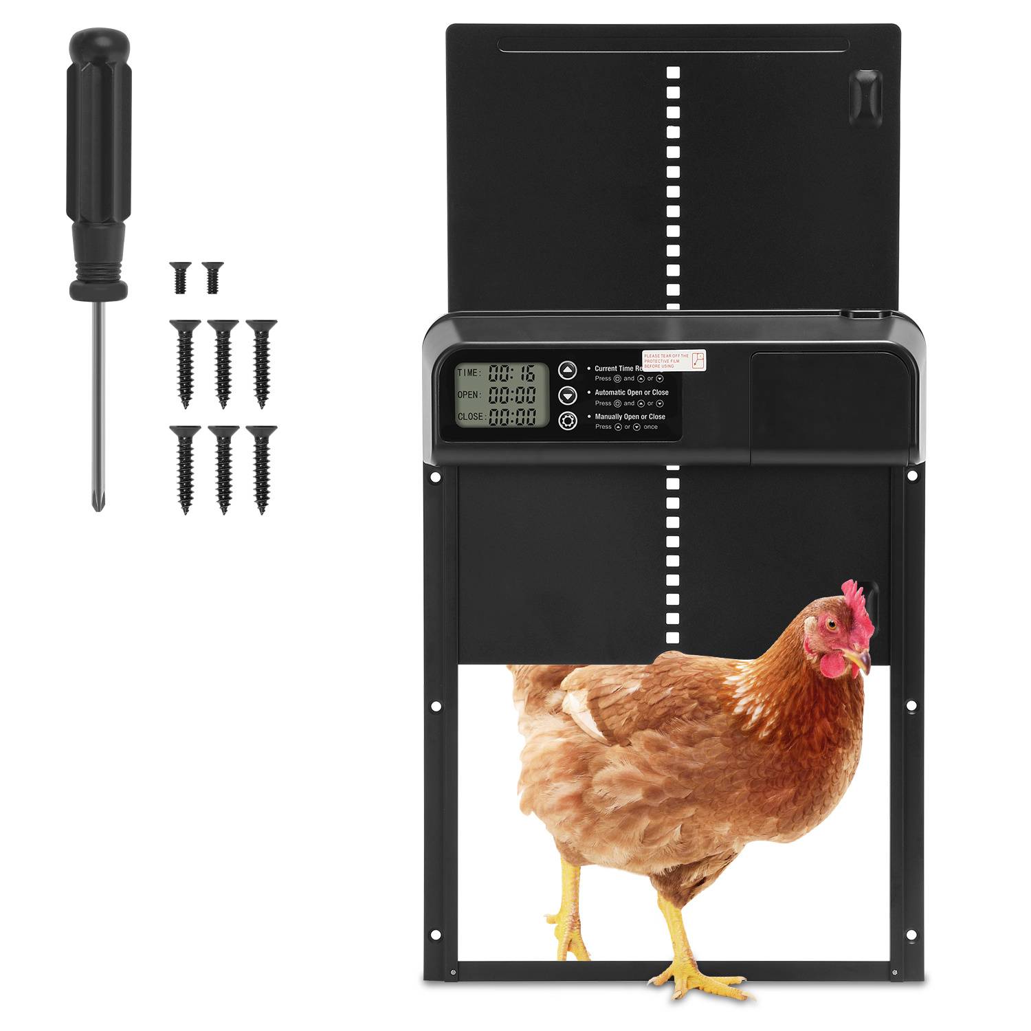 Automatische schwarze Hühnerstalltür mit Schraubendreher, Schrauben und einer Henne als Größenreferenz.