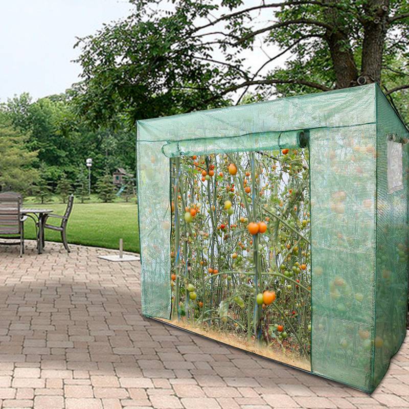 Foliengewächshaus Gewächshaus für Tomaten 200 x 80 x 170/140cm (LxBxH) , mit Gitternetzfolie und Fernster für Garten zur Aufzucht, Grün