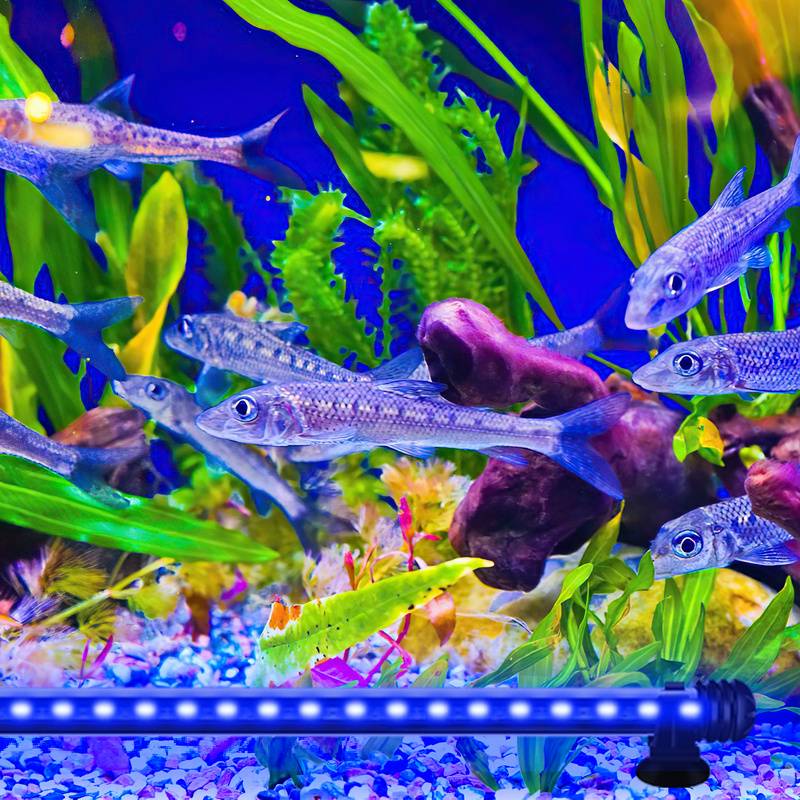 73cm LED Aquarium Beleuchtung IP67 Wasserfest RGB Licht Aufsetzleuchte Dimmbar Fisch Tank Unterwasser Lampe