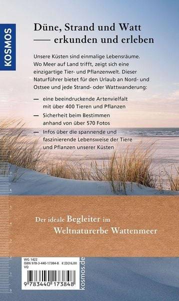 Düne, Strand und Watt