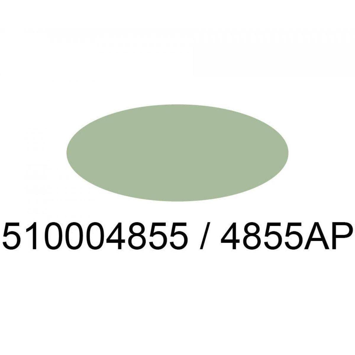 4855 - IT Acrylfarbe Ital. Inter.Grün matt 20ml