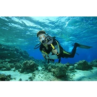 Nokta PulseDive Metalldetektor mit 20 cm Suchspule Nokta PulseDive Metalldetektor mit 20 cm Suchspule