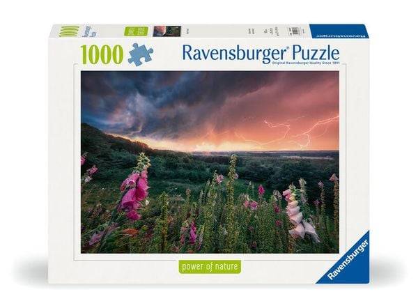 Ravensburger 12000793 - Ein Sturm zieht auf